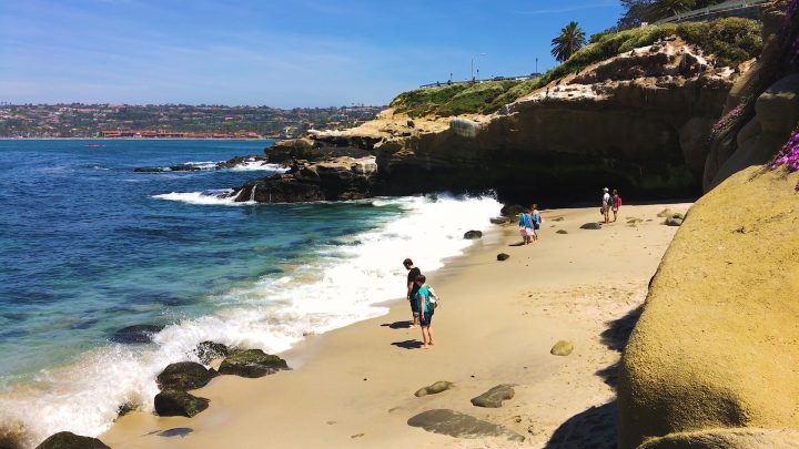 my-rehab-recovery-practical-recovery-photo-4